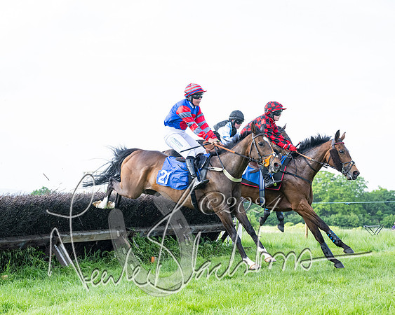 Race 5  - Maiden race 2m5F Div-2 (131 of 205)