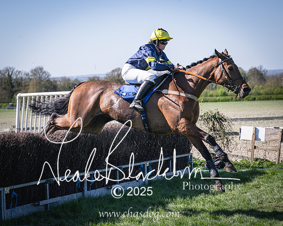 Race 5 - The restricted (85 of 113)