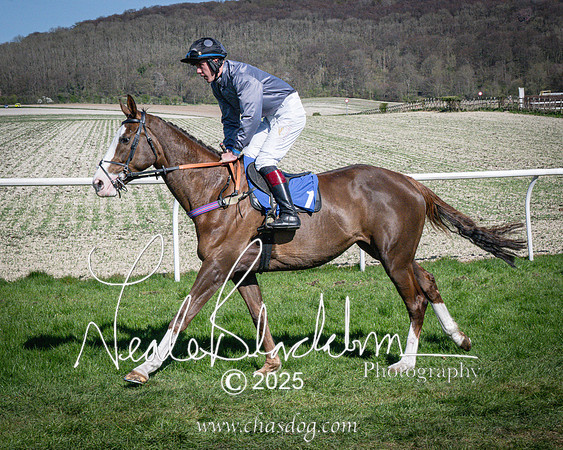 Race 5 - The restricted (22 of 113)