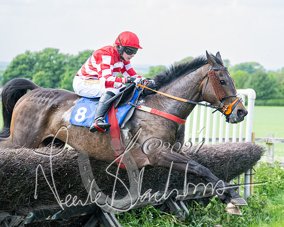 Race 2 - Restricted  (255 of 308)