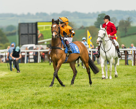 Pony Race 1 - 138cm  (6 of 93)