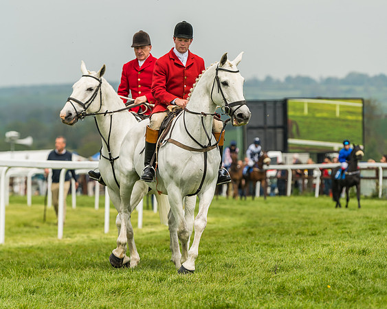 Pony Race 1 - 138cm  (8 of 93)