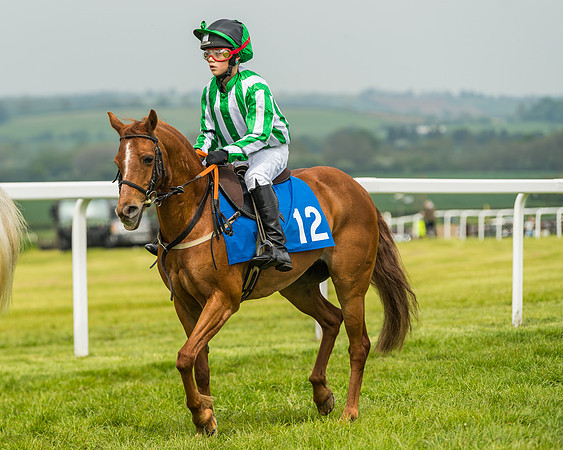 Pony Race 1 - 138cm  (19 of 93)