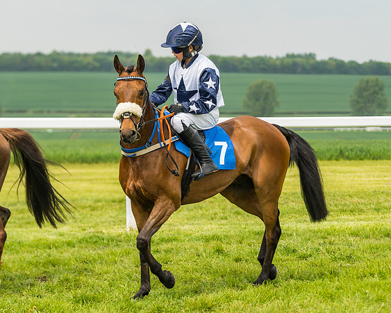 Pony Race 1 - 138cm  (27 of 93)