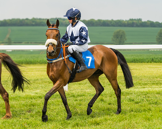 Pony Race 1 - 138cm  (28 of 93)