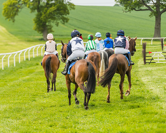 Pony Race 1 - 138cm  (29 of 93)