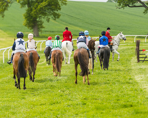 Pony Race 1 - 138cm  (31 of 93)