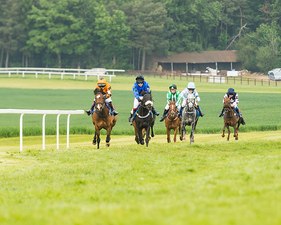 Pony Race 1 - 138cm  (32 of 93)