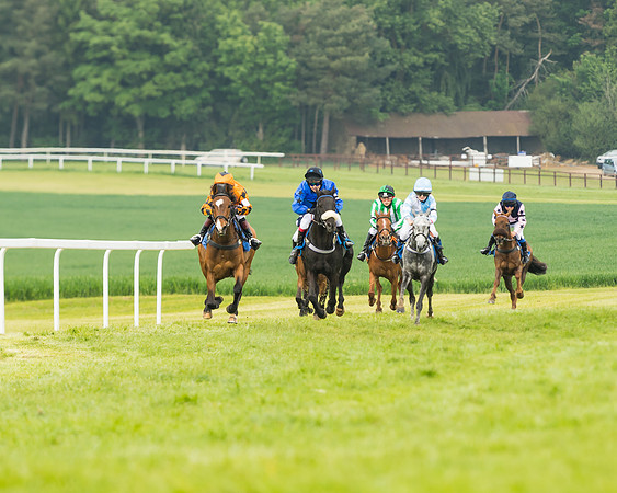 Pony Race 1 - 138cm  (33 of 93)