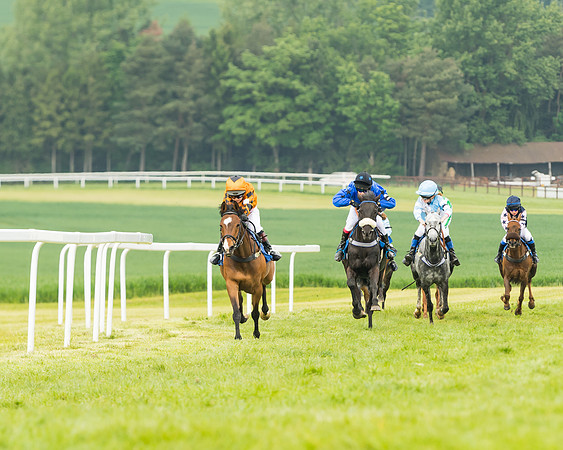 Pony Race 1 - 138cm  (37 of 93)