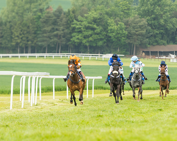 Pony Race 1 - 138cm  (38 of 93)