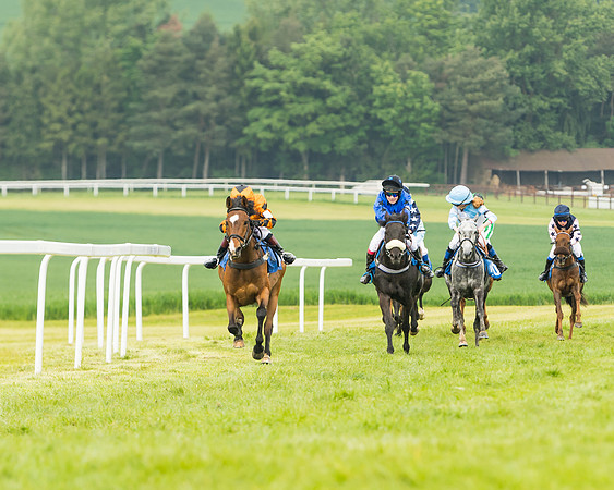 Pony Race 1 - 138cm  (39 of 93)