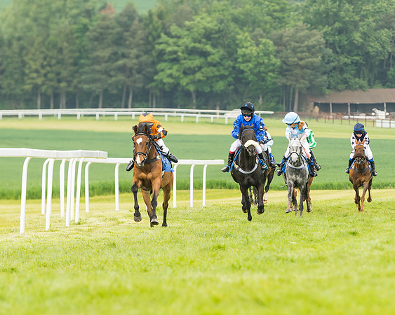 Pony Race 1 - 138cm  (40 of 93)