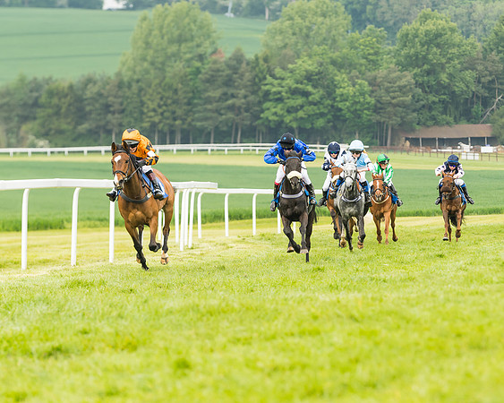 Pony Race 1 - 138cm  (42 of 93)