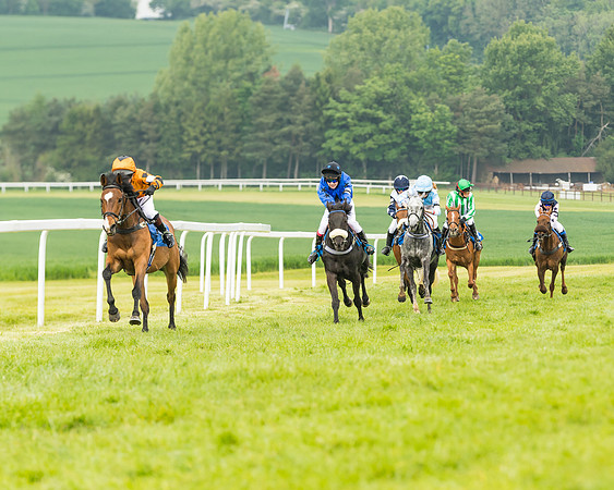 Pony Race 1 - 138cm  (44 of 93)