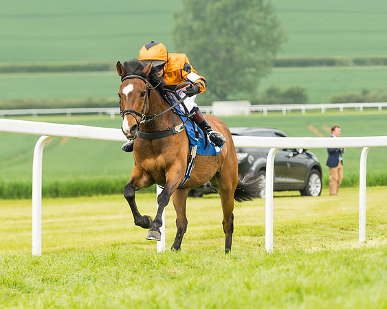 Pony Race 1 - 138cm  (48 of 93)
