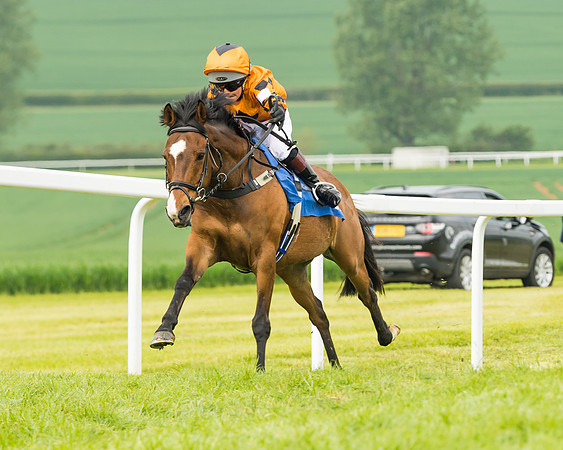 Pony Race 1 - 138cm  (49 of 93)