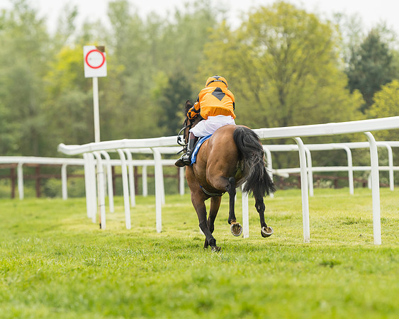 Pony Race 1 - 138cm  (76 of 93)