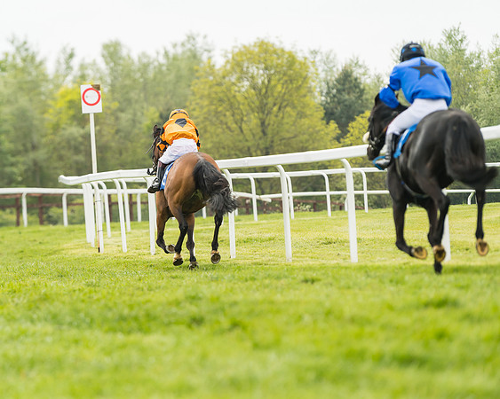 Pony Race 1 - 138cm  (77 of 93)
