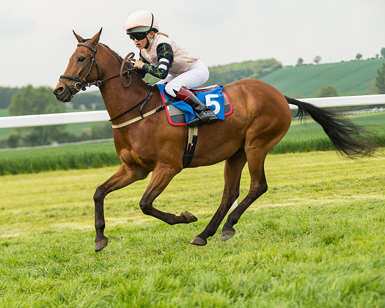 Pony Race 1 - 138cm  (85 of 93)