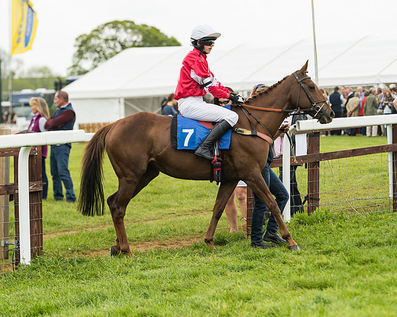 Pony Race 2 - 148cm (1 of 91)