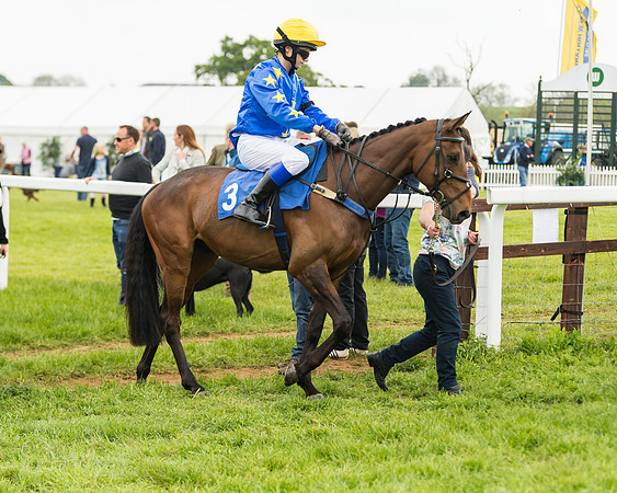 Pony Race 2 - 148cm (4 of 91)