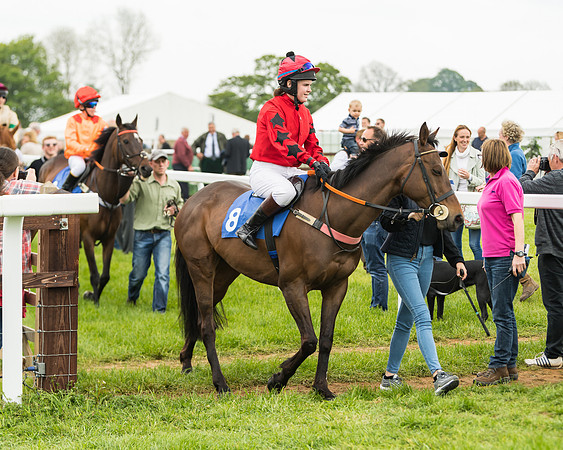 Pony Race 2 - 148cm (5 of 91)