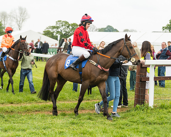 Pony Race 2 - 148cm (6 of 91)