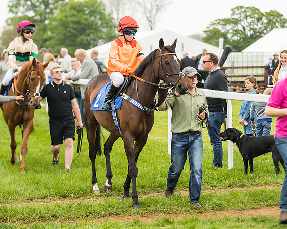 Pony Race 2 - 148cm (7 of 91)