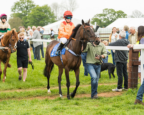 Pony Race 2 - 148cm (8 of 91)