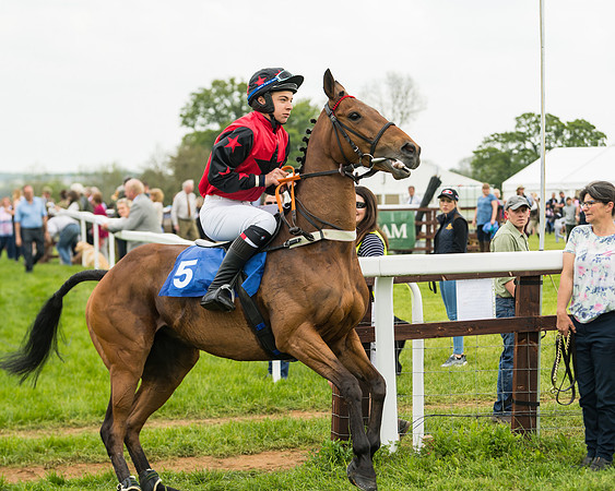 Pony Race 2 - 148cm (14 of 91)