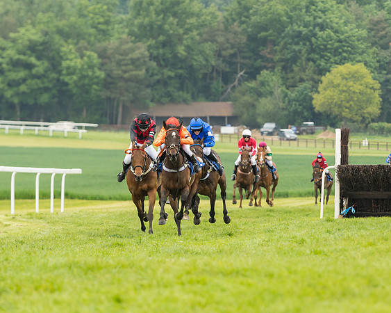 Pony Race 2 - 148cm (25 of 91)