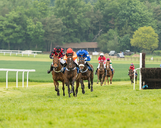 Pony Race 2 - 148cm (26 of 91)