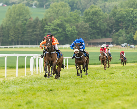 Pony Race 2 - 148cm (27 of 91)