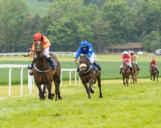 Pony Race 2 - 148cm (29 of 91)
