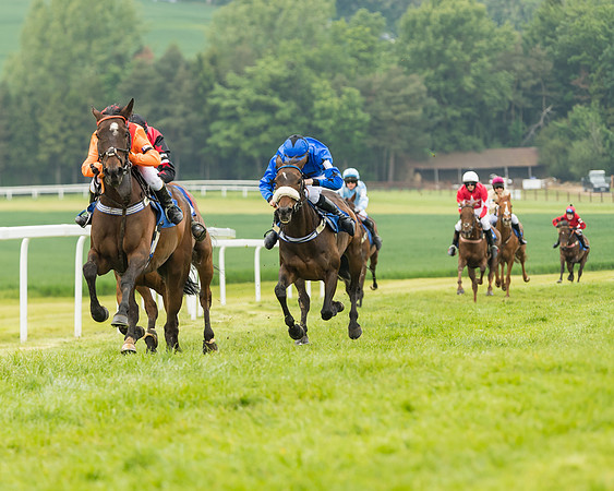 Pony Race 2 - 148cm (31 of 91)