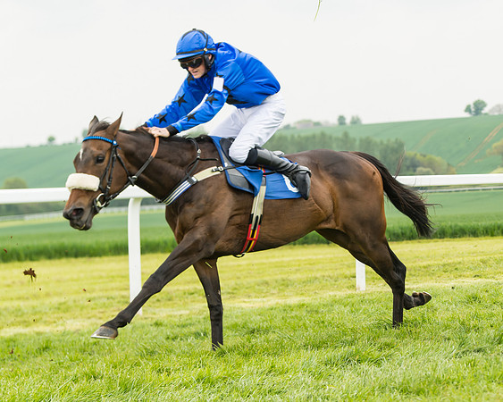 Pony Race 2 - 148cm (54 of 91)