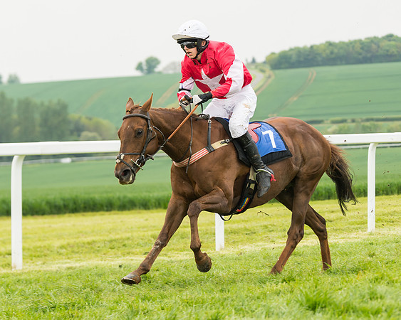 Pony Race 2 - 148cm (63 of 91)