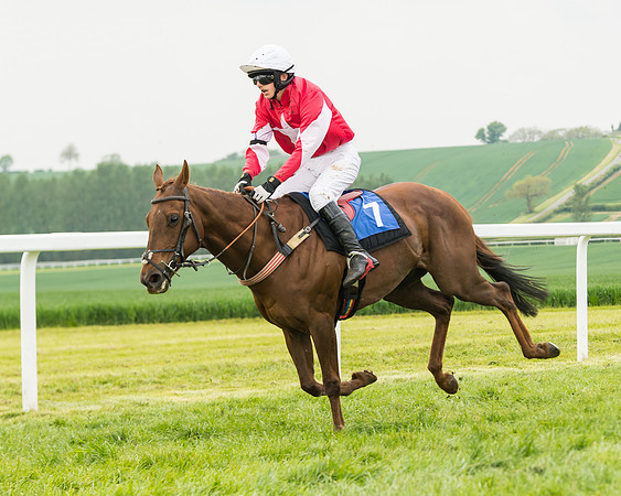 Pony Race 2 - 148cm (65 of 91)