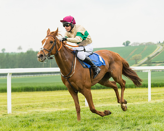 Pony Race 2 - 148cm (71 of 91)