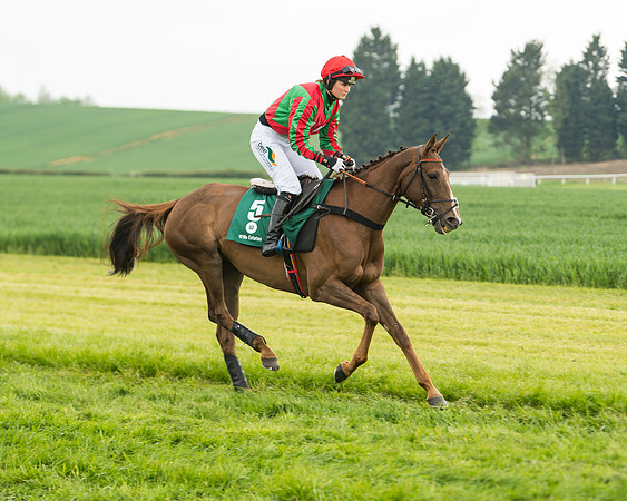 Race 2 - Intermediate (2 of 113)
