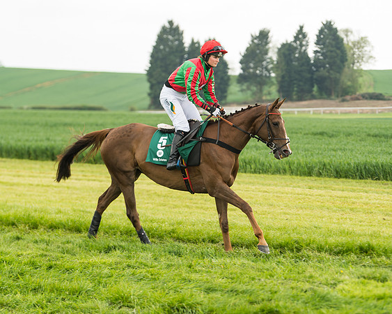 Race 2 - Intermediate (3 of 113)
