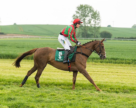 Race 2 - Intermediate (4 of 113)