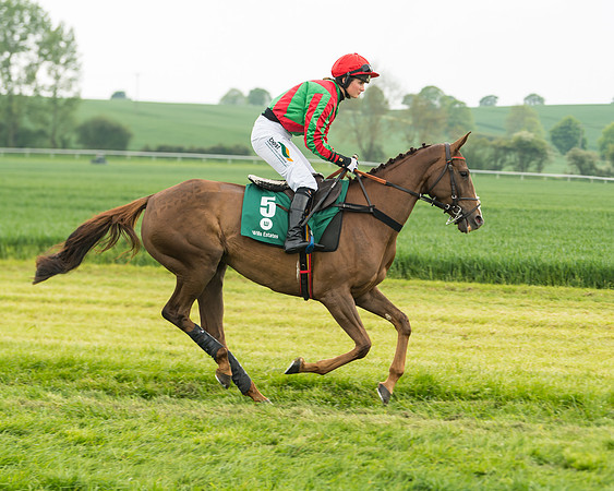 Race 2 - Intermediate (5 of 113)