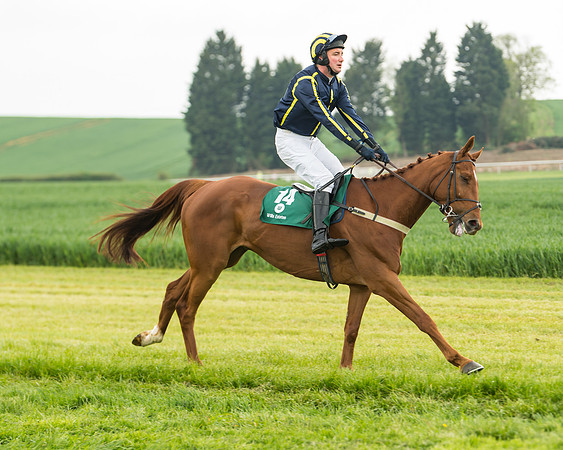 Race 2 - Intermediate (6 of 113)