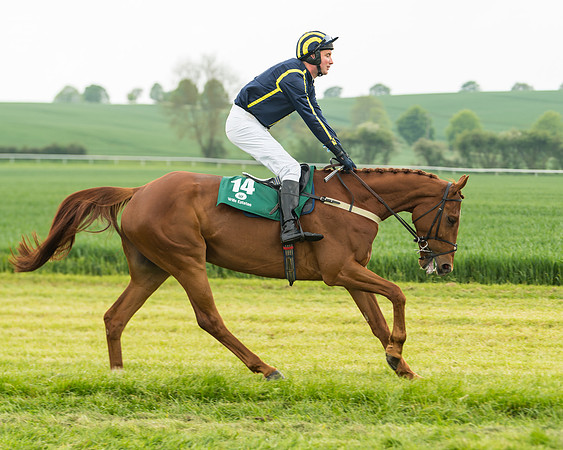 Race 2 - Intermediate (8 of 113)