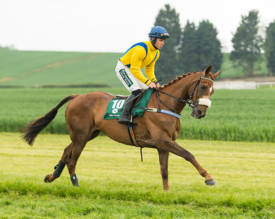 Race 2 - Intermediate (9 of 113)