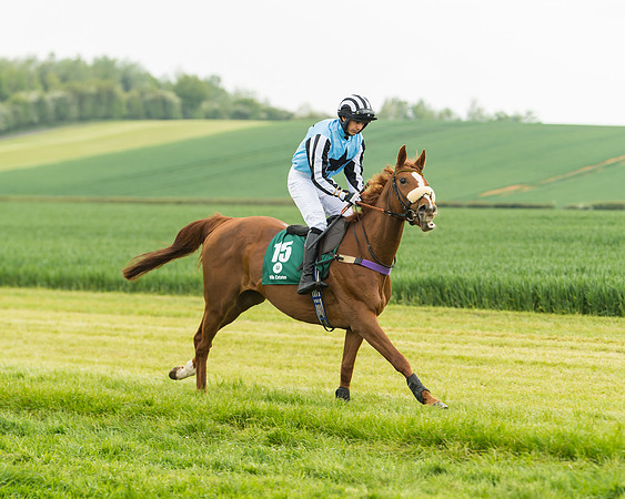Race 2 - Intermediate (16 of 113)