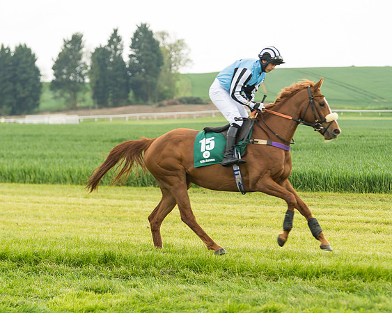 Race 2 - Intermediate (18 of 113)