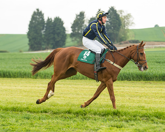 Race 2 - Intermediate (7 of 113)
